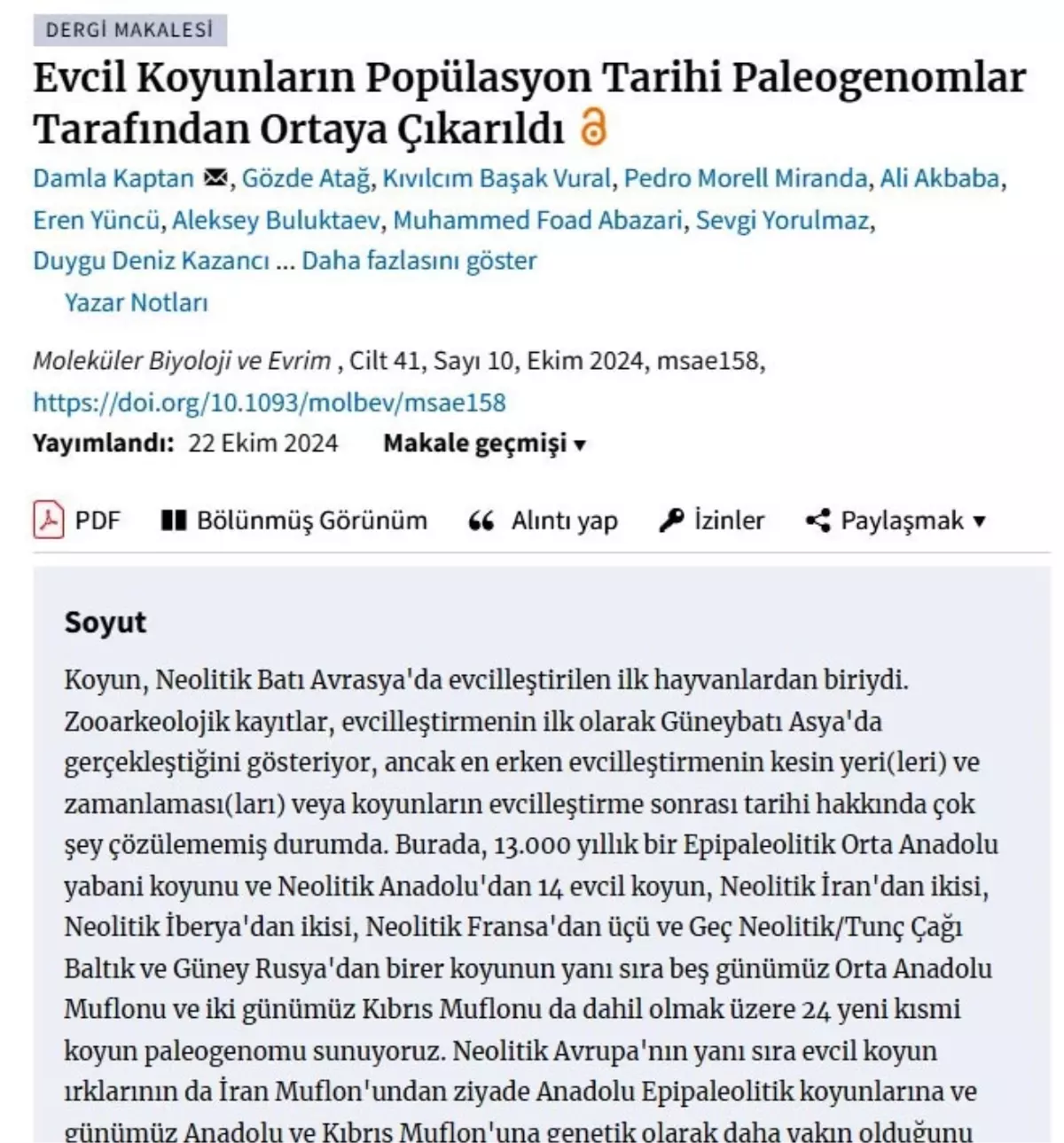 Evcil Koyunun Tarihi: Anadolu’dan Avrupa’ya Seyahat