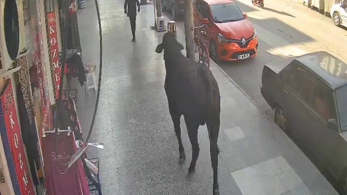 Hatay’da kaçan angus 3 saatte yakalandı